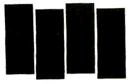 Black Flag Logo